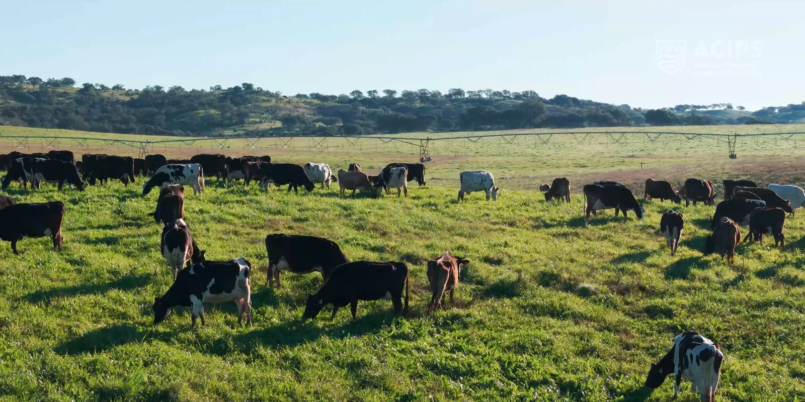 AGROACIPS — apoio agrícola